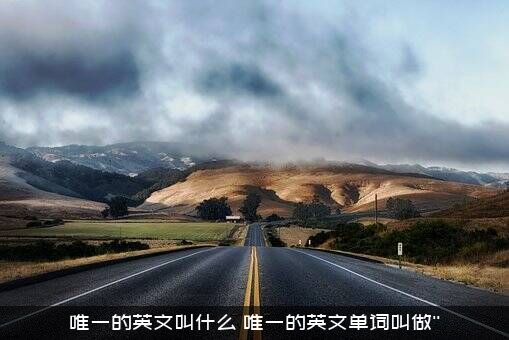 唯一的英文叫什么？唯一的英文单词叫做''