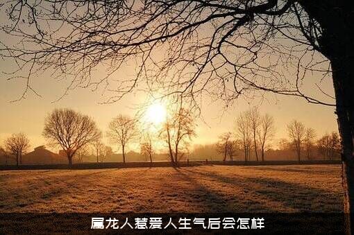 属龙人惹爱人生气后会怎样？