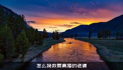 怎么挽救要离婚的老婆？