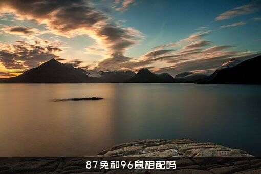87兔和96鼠相配吗？