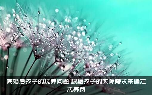 离婚后孩子的抚养问题（根据孩子的实际需求来确定抚养费）