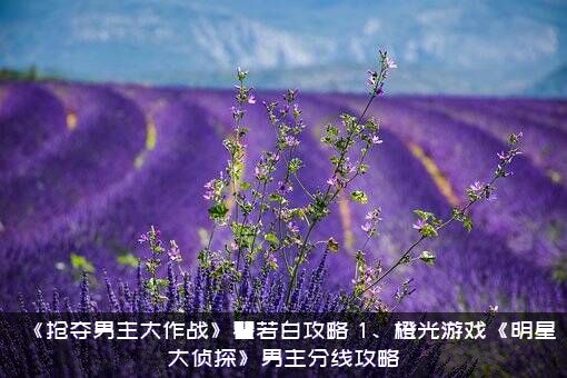 《抢夺男主大作战》瞿若白攻略，1、橙光游戏《明星大侦探》男主分线攻略