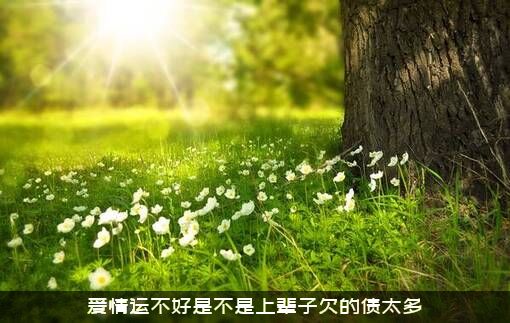 爱情运不好是不是上辈子欠的债太多？