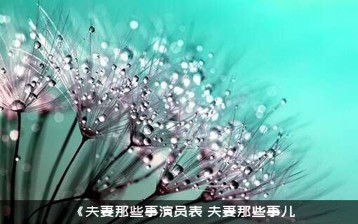 《夫妻那些事演员表（夫妻那些事儿）
