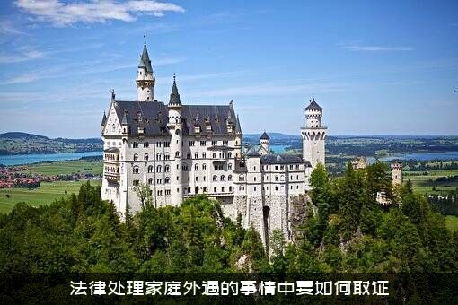 法律处理家庭外遇的事情中要如何取证？