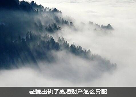 老婆出轨了离婚财产怎么分配？