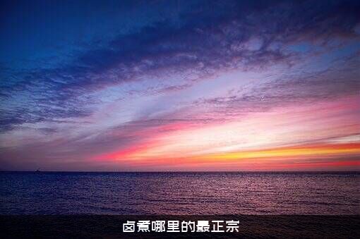 卤煮哪里的最正宗？
