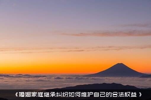 《婚姻家庭继承纠纷如何维护自己的合法权益？》？