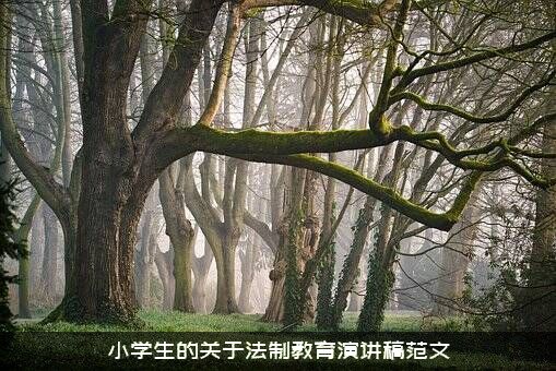 小学生的关于法制教育演讲稿范文