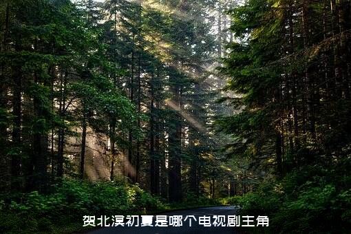 贺北溟初夏是哪个电视剧主角？