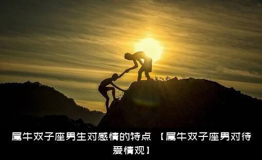 属牛双子座男生对感情的特点，【属牛双子座男对待爱情观】