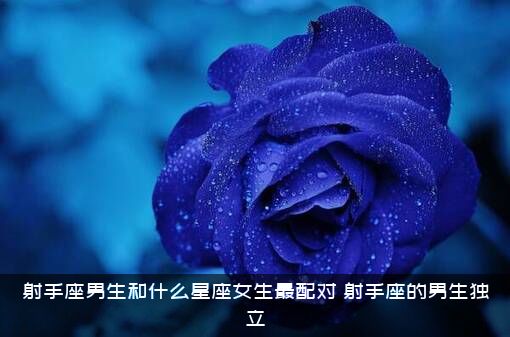 射手座男生和什么星座女生最配对？射手座的男生独立