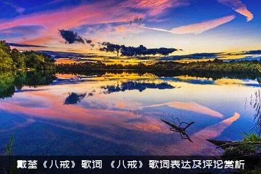 戴荃《八戒》歌词（《八戒》歌词表达及评论赏析）
