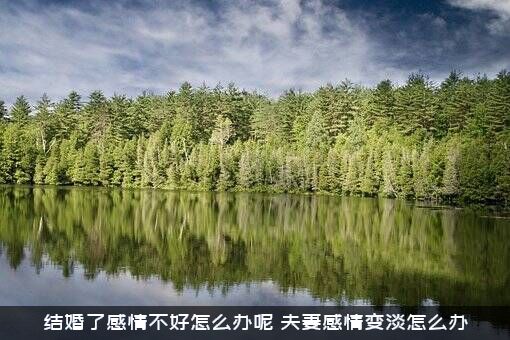 结婚了感情不好怎么办呢？夫妻感情变淡怎么办？