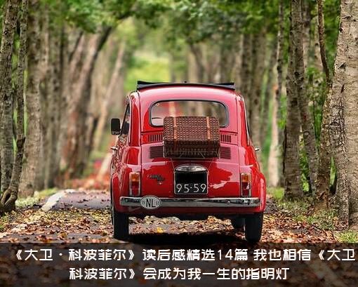 《大卫·科波菲尔》读后感精选14篇，我也相信《大卫科波菲尔》会成为我一生的指明灯