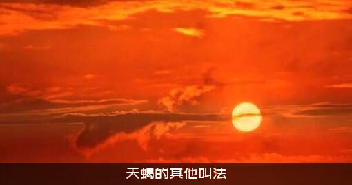 天蝎的其他叫法