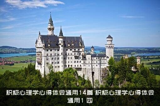 积极心理学心得体会通用14篇，积极心理学心得体会通用1，四