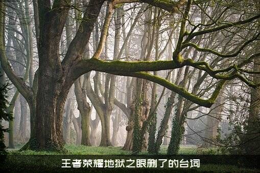 王者荣耀地狱之眼删了的台词