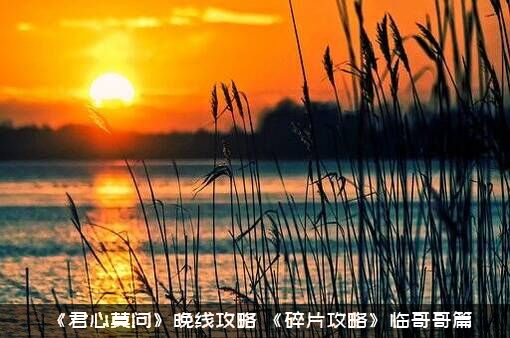 《君心莫问》晚线攻略（《碎片攻略》临哥哥篇）
