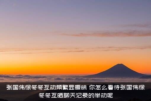 张国伟徐冬冬互动频繁显暧昧，你怎么看待张国伟徐冬冬互晒聊天记录的举动呢？