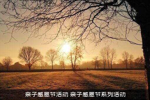 亲子感恩节活动（亲子感恩节系列活动）