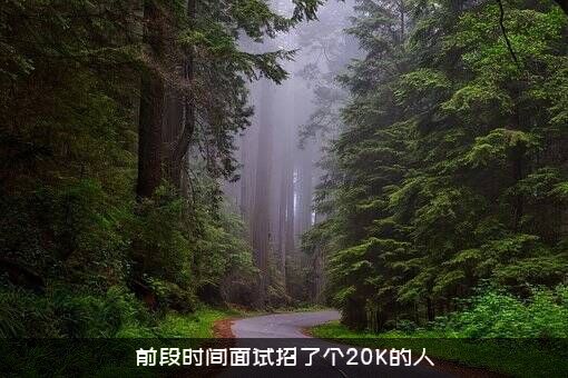前段时间面试招了个20K的人