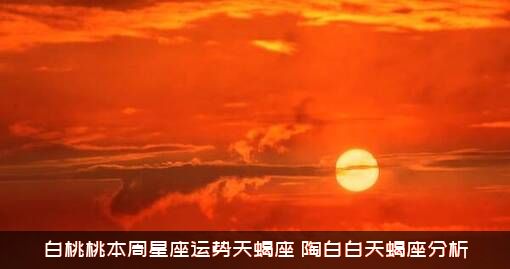 白桃桃本周星座运势天蝎座，陶白白天蝎座分析