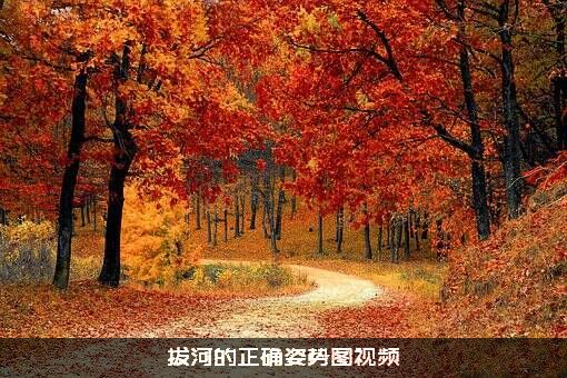 拔河的正确姿势图视频