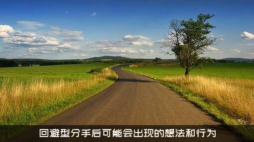 回避型分手后可能会出现的想法和行为