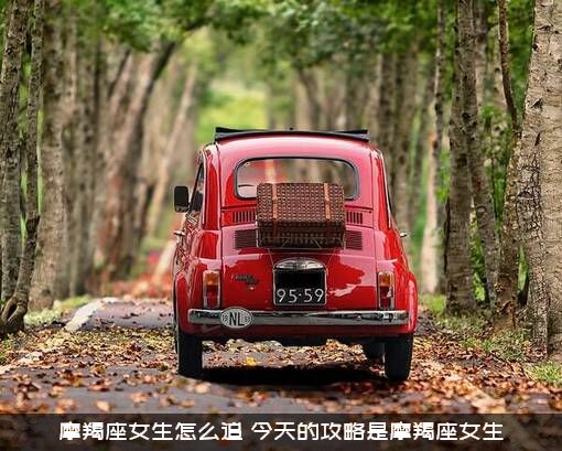 摩羯座女生怎么追？今天的攻略是摩羯座女生