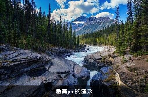 急需jrm的建议