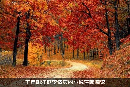 主角叫汪挺李倩辰的小说在哪阅读？