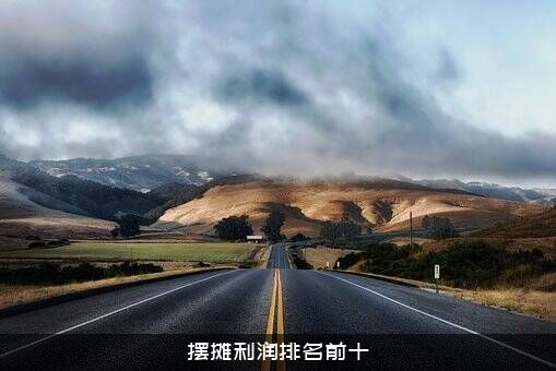 摆摊利润排名前十