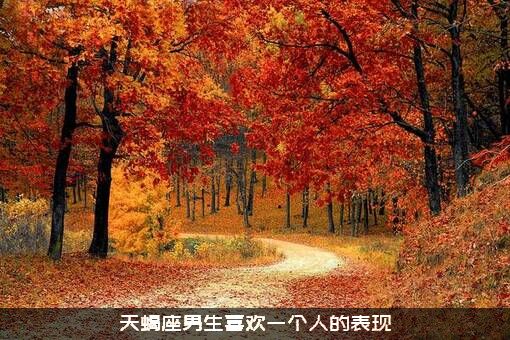 天蝎座男生喜欢一个人的表现
