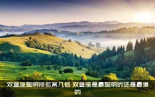 双鱼座聪明排名第几名？双鱼座是最聪明的还是最傻的