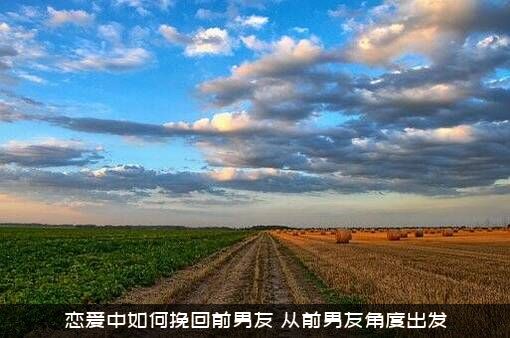 恋爱中如何挽回前男友？从前男友角度出发