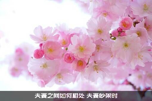 夫妻之间如何相处（夫妻吵架时）