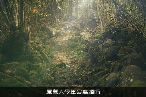 属鼠人今年会离婚吗？