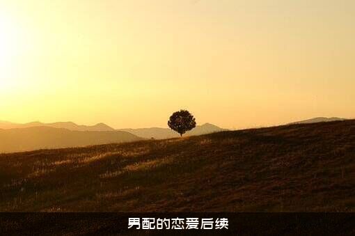 男配的恋爱后续