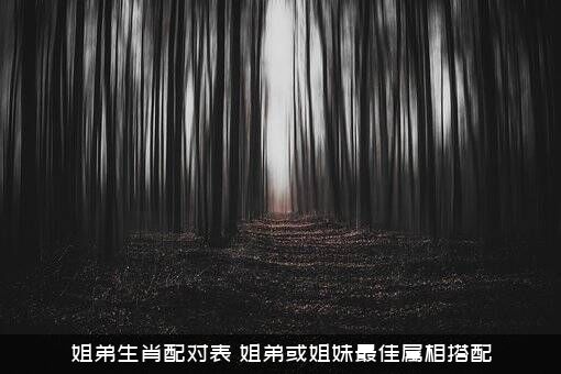 姐弟生肖配对表（姐弟或姐妹最佳属相搭配）