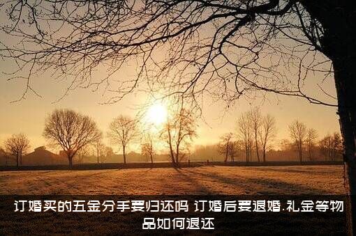 订婚买的五金分手要归还吗？订婚后要退婚.礼金等物品如何退还？