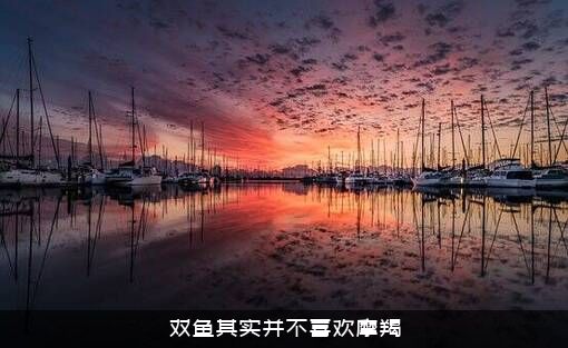 双鱼其实并不喜欢摩羯