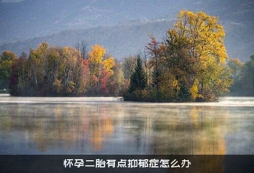 怀孕二胎有点抑郁症怎么办？