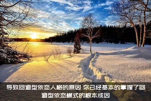导致回避型依恋人格的原因，你已经基本的掌握了回避型依恋模式的根本成因