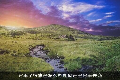 分手了很痛苦怎么办如何走出分手失恋？