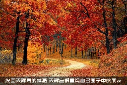 挽回天秤男的禁忌（天秤座很重视自己圈子中的朋友）