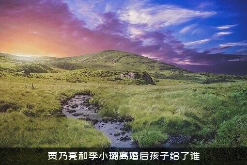 贾乃亮和李小璐离婚后孩子给了谁？