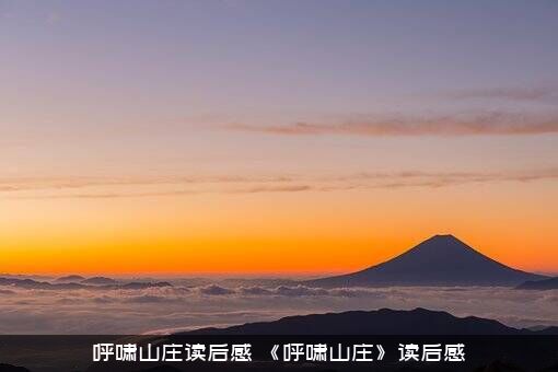 呼啸山庄读后感（《呼啸山庄》读后感）