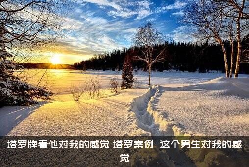 塔罗牌看他对我的感觉（塔罗案例――这个男生对我的感觉）