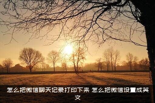 怎么把微信聊天记录打印下来？怎么把微信设置成英文？